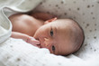 © Sam Edwards/Caia Image - Close up cute newborn  baby boy in bassinet