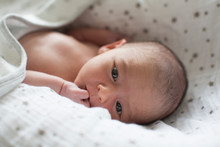 Close Up Cute Newborn  Baby Boy In Bassinet