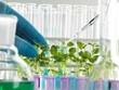 © Science RF - Plant Biotechnology