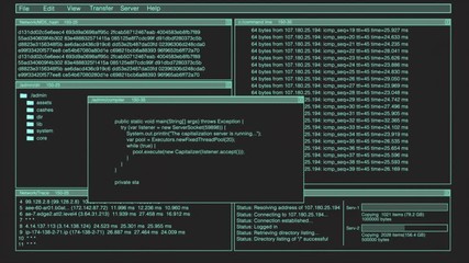 Computer Hacker Code with Network Ping, Trace Route, and Hash Encryption.