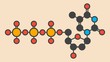 © Science RF - Thymidine triphosphate molecule