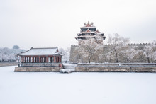 The Winter Of Forbidden City