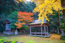 京都　岩戸落葉神社（いわとおちばじんじゃ）の紅葉