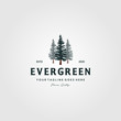 pine tree vintage logo evergreen spruce fir vector emblem illustration design