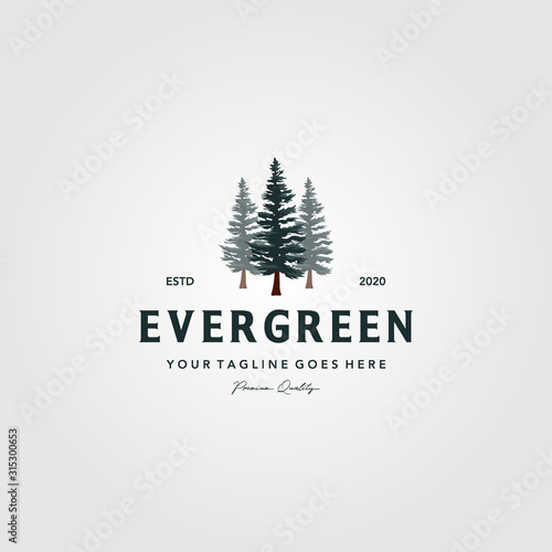 Fotografía pine tree vintage logo evergreen spruce fir vector emblem illustration design