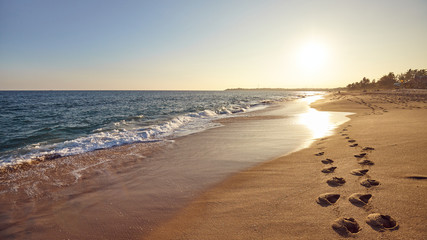 Wall Mural - Footprints on a tropical beach at sunset, Sri Lanka.