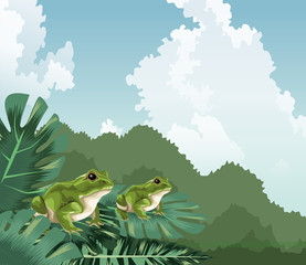 Poster - frogs on monstera leaves tropical fauna and flora landscape