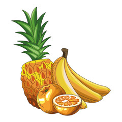 Poster - pineapple, bananas and oranges, colorful design