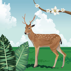 Wall Mural - deer flowers branch leaves tropical fauna and flora landscape