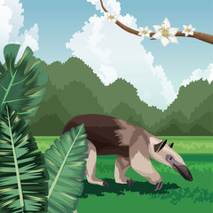 Poster - anteater flowers branch bush tropical fauna and flora landscape