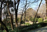 Fototapeta Pomosty - Idyllic Crystal Palace Gardens in Oporto