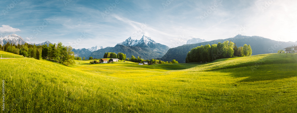 Idyllic mountain landscape in the Alps with blooming meadows in springtime - obrazy, fototapety, plakaty 