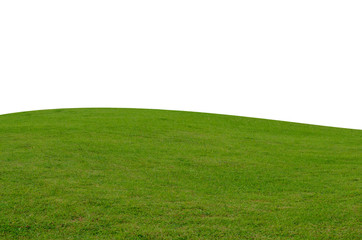 Wall Mural - Green grass field isolated on white background with clipping path.