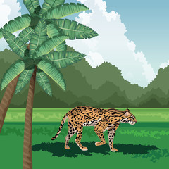 Poster - leopard walking grass palms tree tropical fauna and flora landscape