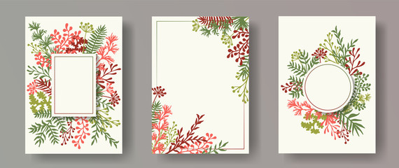 Tropical herb twigs, tree branches, leaves floral invitation cards collection. Plants borders modern cards design with dandelion flowers, fern, mistletoe, olive branches, sage twigs.