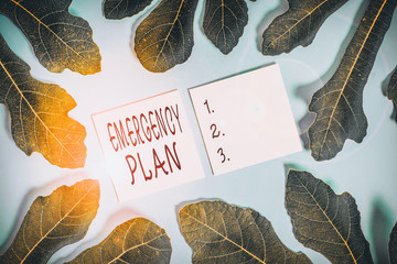 Word writing text Emergency Plan. Business photo showcasing procedures for handling sudden or unexpected situations Leaves surrounding notepaper above an empty soft pastel table as background