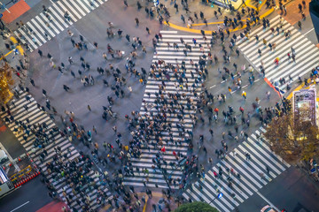 Wall Mural - Shibuya Crossing from top view at night in Tokyo