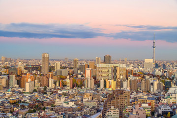 Wall Mural - Top view of Tokyo city skyline (Shinjuku and Shibuya) area with beautiful sunset