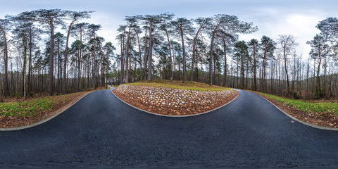 Wall Mural - full spherical hdri panorama 360 degrees angle view on asphalt pedestrian footpath and bicycle lane path in pinery forest in overcast weather in equirectangular projection. VR AR content