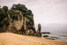 Landscape Of Empty Sandy Beach And Green Forest In Pancake Rocks At New Zealand