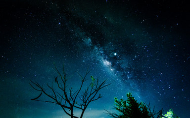 Wall Mural - milky way galaxy with stars and space in the universe background at thailand