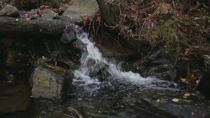 Wall Mural - Waterfall on a mountain river with black stones on the shore