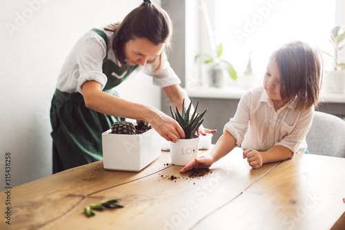 Mata magnetyczna śliczna Kaukaska dziewczyna w zielonym fartuchu z przesadzaniem córki dziecka, sadzenie soczystego Haworthia w doniczce. koncepcja edukacji opieki rośliny domowe, sadzenie, brud i gleba na drewnianym stole