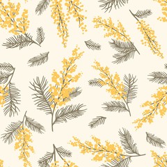 Vector seamless pattern with branches Mimosa. Floral background for surface design