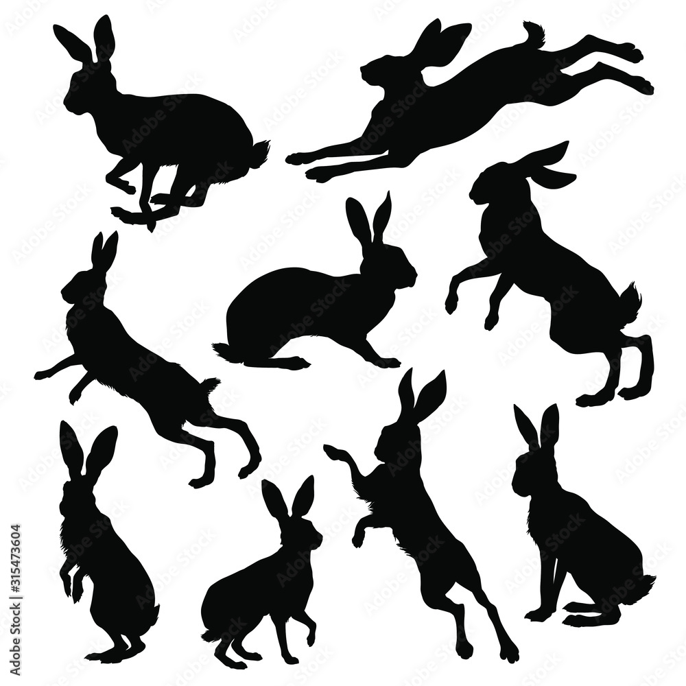Hare silhouette set. Vector illustration Stock Vector | Adobe Stock