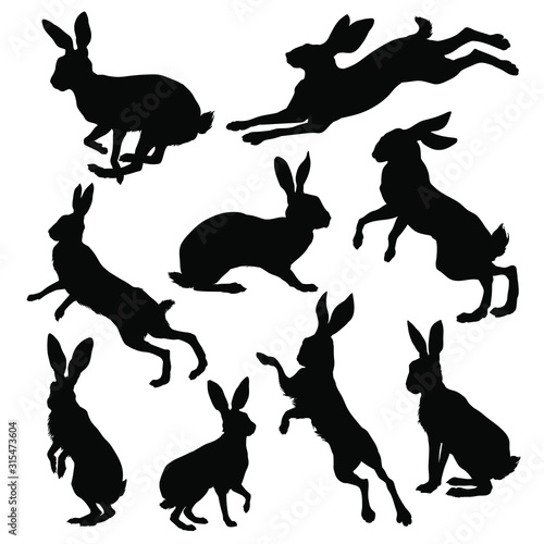 Fotografía Hare silhouette set. Vector illustration
