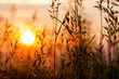 Leinwandbild Motiv Sonnenaufgang Feld Landschaft