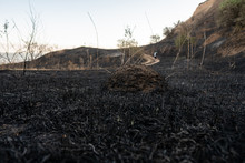 A Mound Of Land Surrounded By Burnt Grass With A Hiking Trail