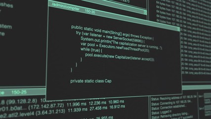 Computer Hacker Code with Network Ping, Trace Route, and Hash Encryption.