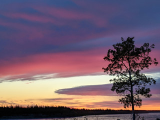 Sticker - Purple Sky Over MacKenzie River