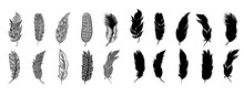 Feather Vector Set Collection Graphic Clipart Design