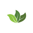 © dar - Logos of green Tree leaf ecology nature element