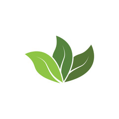 Logos of green Tree leaf ecology nature element