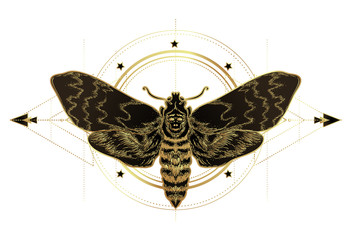 Canvas Print - Golden moth over sacred geometry sign, isolated vector illustration. Tattoo flash. Mystical symbols and insects in gold. Alchemy, occultism, spirituality. Hand-drawn vintage.