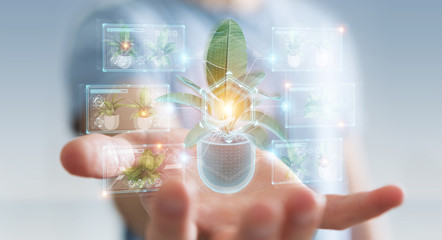 Fototapete - Man holding and touching holographic projection of a plant with digital analysis 3D rendering