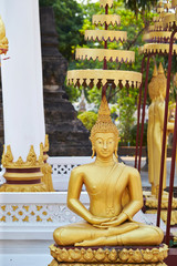 Travelling Laos, gold Buddha statue 