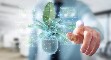 Fototapete - Man holding and touching holographic projection of a plant with digital analysis 3D rendering