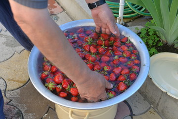 red fresh delicious berry strawberry on a summer day