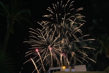 fireworks in the sky