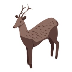 Wall Mural - Wild deer icon. Isometric of wild deer vector icon for web design isolated on white background