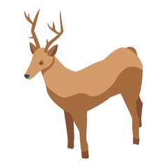 Wall Mural - Deer pet icon. Isometric of deer pet vector icon for web design isolated on white background