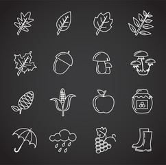 Autumn related icons set on background for graphic and web design. Simple illustration. Internet concept symbol for website button or mobile app