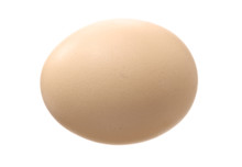 Egg On A White Background