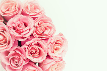 Beautiful pink roses