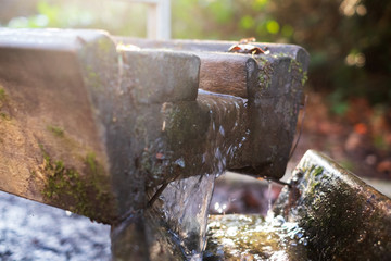 Spring with wooden channel. Close up view on clean water stream.