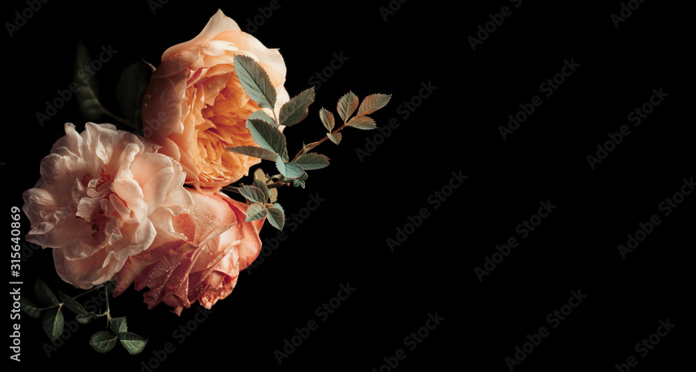 Beautiful bunch of colorful roses flowers - obrazy, fototapety, plakaty 